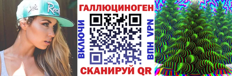 как найти Зуевка Псилоцибиновые грибы MAGIC MUSHROOMS